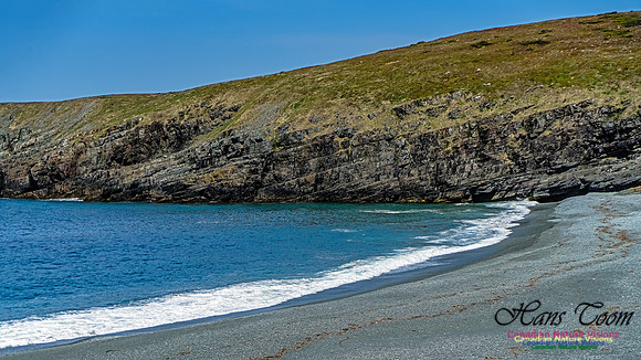 Cape Race 139