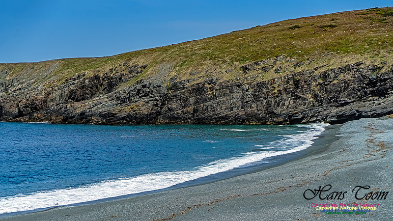Cape Race 139