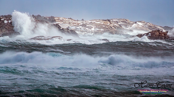 February 17 Gale 130