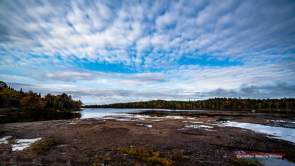 More Early Fall Photos in Nova Scotia 228