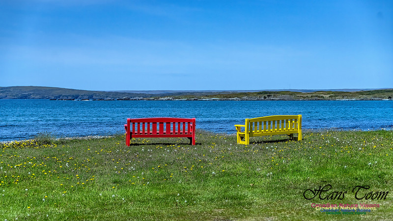 Cape Race 135