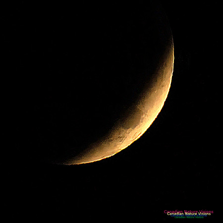 Lunar Eclipse 2022 103