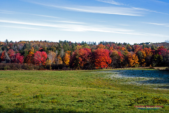 Smileys Provincial Park Fall Colours