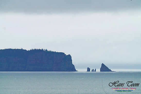 Cape Split 221