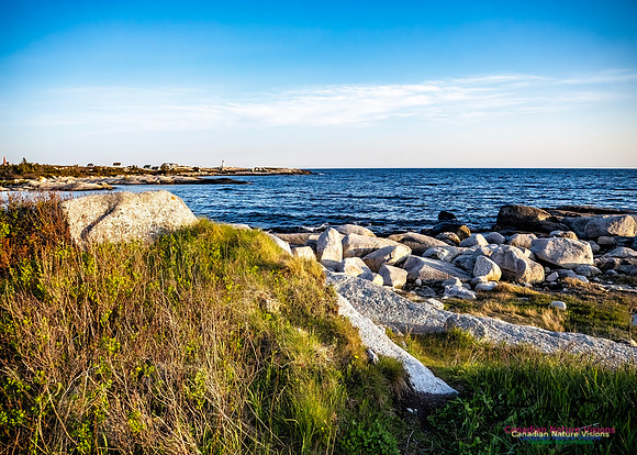 Late Day at Peggy's Cove 132