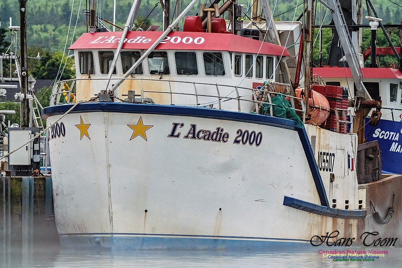 Harbour Traffic 106