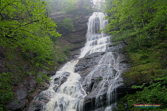 Cape Breton Highlands