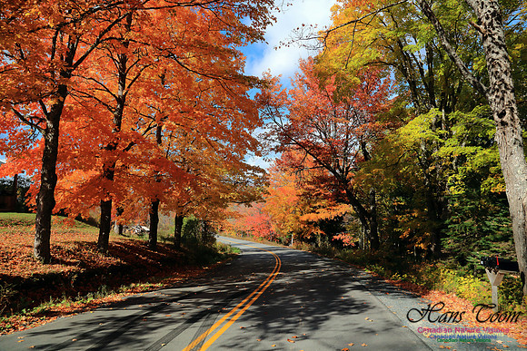 FallColours2016-1029