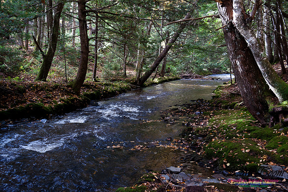 Butchers Creek