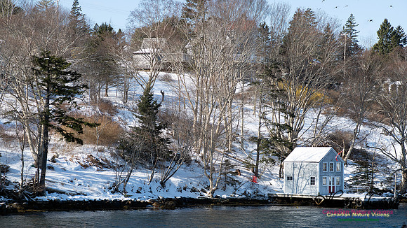 Prospect Bay Loop 134