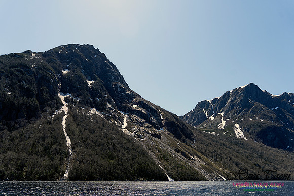 Western Brook Pond 241