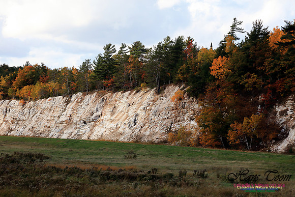 FallColours2016-1004