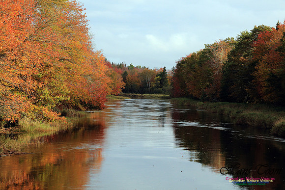 Shubenacadie Valley