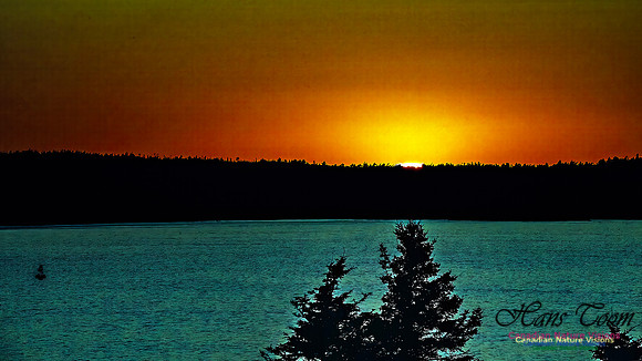 Sunset +1 100 copy