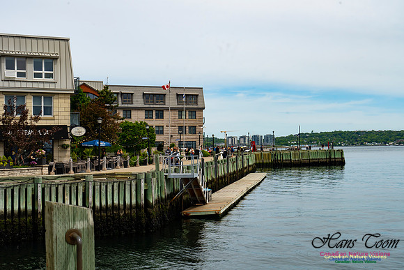 Halifax Waterfront Stroll 114