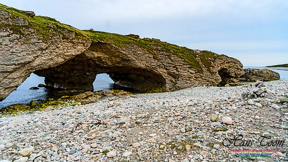 The Arches 101