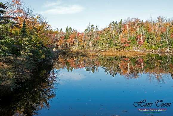 FallColours2013-11