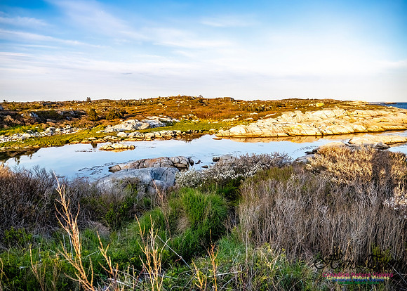 Late Day at Peggy's Cove 128