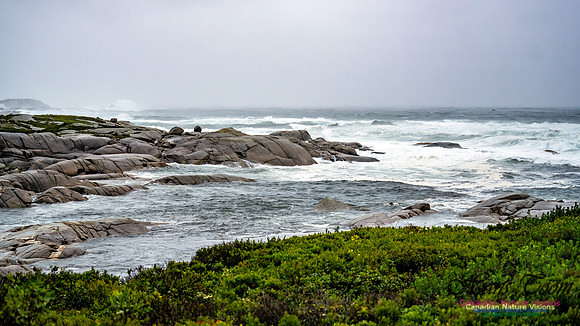 Nova Scotia Gale 2024-09-07 156