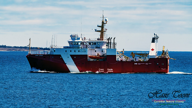 Harbour Traffic 127