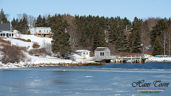 Prospect Bay Loop 124