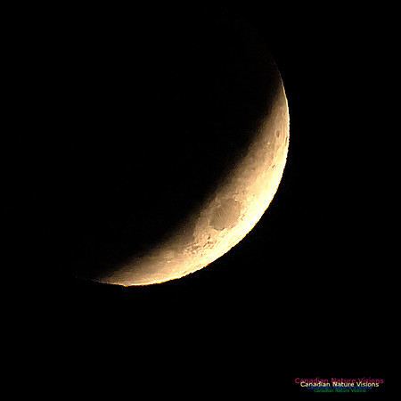 Lunar Eclipse 2022 104
