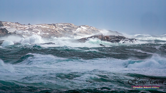 February 17 Gale 132