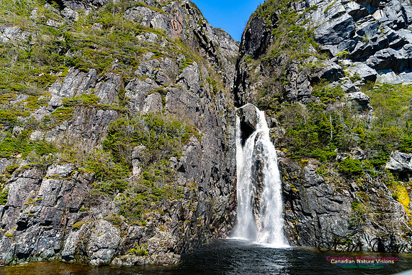 Western Brook Pond 177