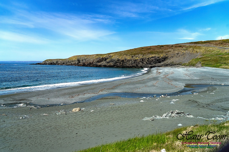 Cape Race 137