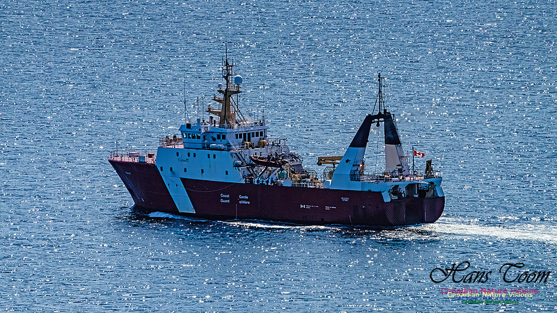 St. John's, Newfoundland 137