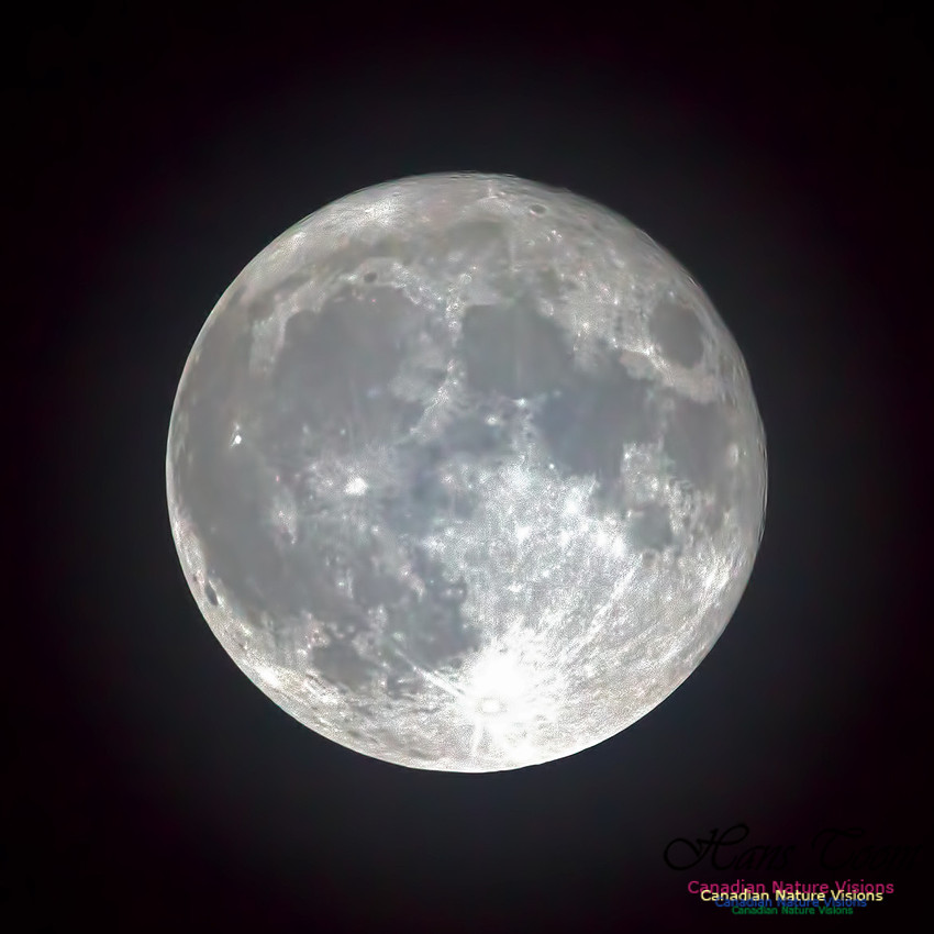 Supermoon2016(0)-1001