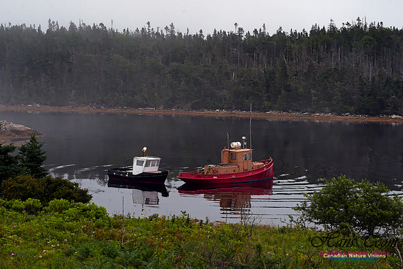 Two Small Tugs