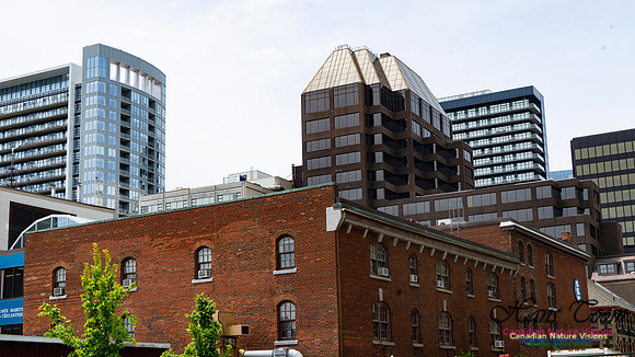 Halifax Waterfront Stroll 146