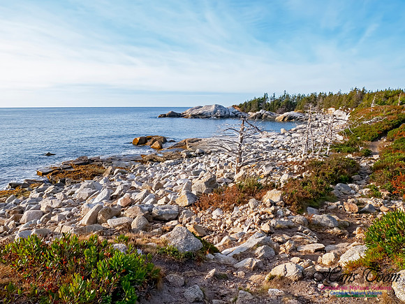 Coastal Barrens 102