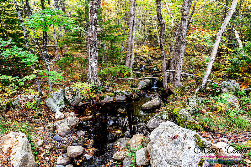 More Early Fall Photos in Nova Scotia 211