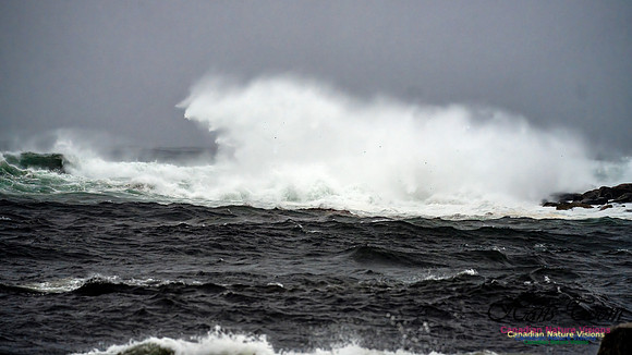 Nova Scotia Gale 2024-09-07 169