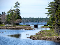 Dollar Lake Provincial Park