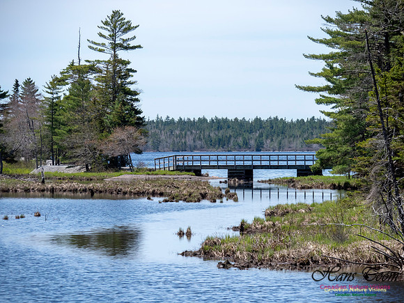 Dollar Lake Provincial Park 1