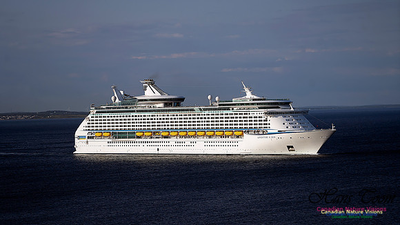 Adventure of the Seas 110