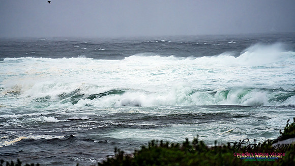 Nova Scotia Gale 2024-09-07 163