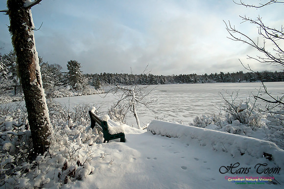 Bell Park in Winter