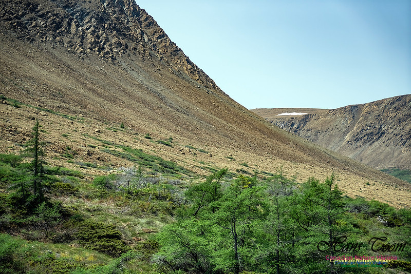 Table Mountains 101