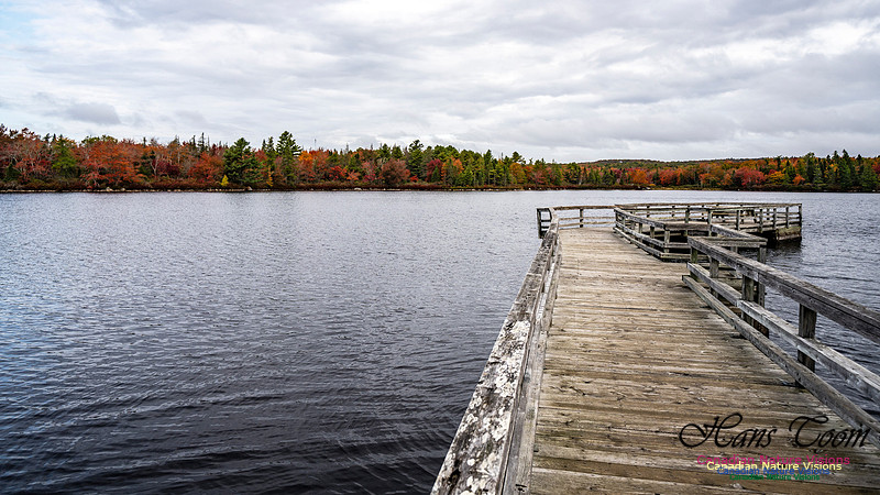 More Early Fall Photos in Nova Scotia 214