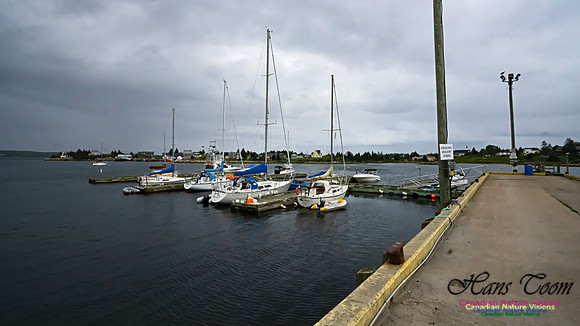 Sambro Harbour 100
