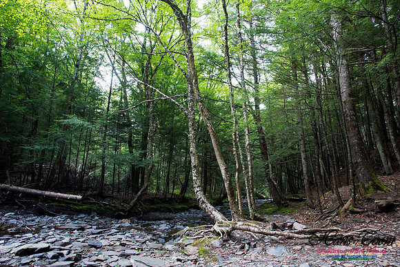 Butchers Falls