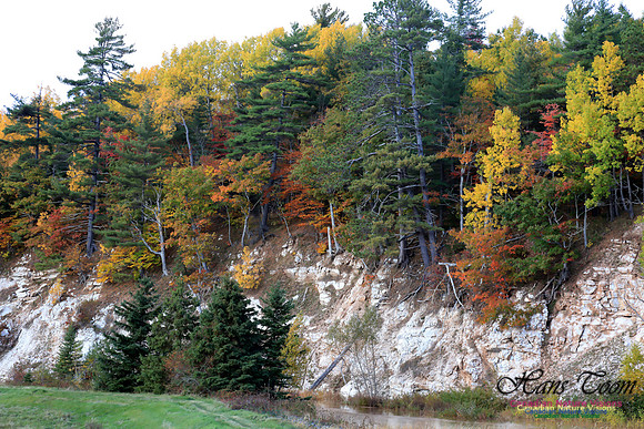 FallColours2016-1009