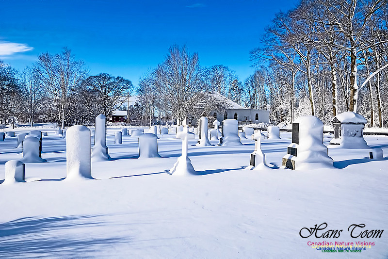 Snow Day 104