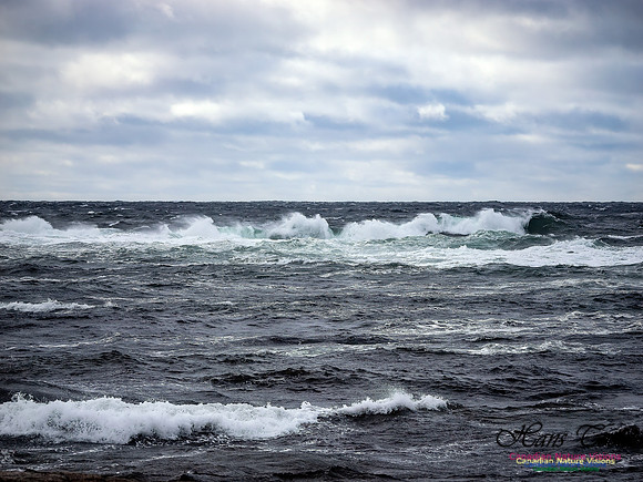 November Gale 3 108