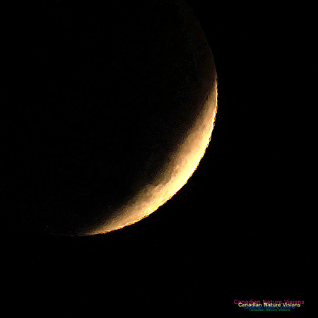 Lunar Eclipse 2022 102