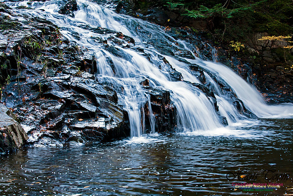 Butchers Falls